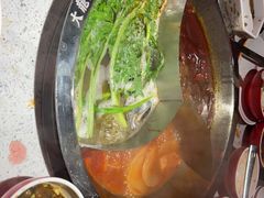 -大龙燚·旷野鲜火锅(广州首店)