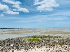 -北海金海湾红树林生态旅游区