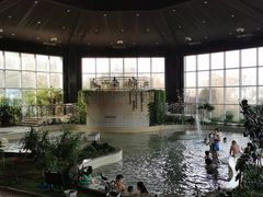 -徂徕山森林康养度假谷温泉