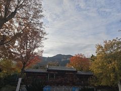 -佛慧山