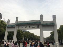 -武汉大学-樱园