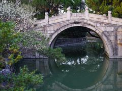 -上海醉白池公园