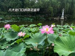 -八大处公园