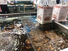 -盒马鲜生(大成店)
