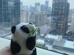 -成都尼依格罗酒店