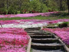 -昆嵛山石门里景区