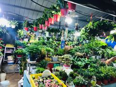 -大学城夜市大排档(凤栖路店)