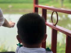 -歌斐颂巧克力小镇