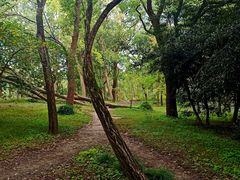 -共青国家森林公园-售票处