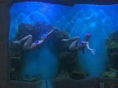 -瑞德姆美人鱼海底演艺主题餐厅(亚龙湾店)