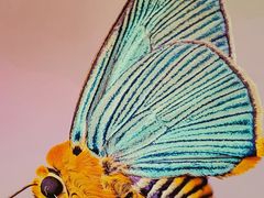 -中国湿地博物馆