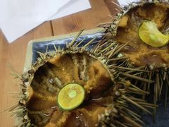 -海胆小馆(东北水饺·春柳店)