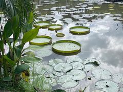 -中国科学院西双版纳热带植物园