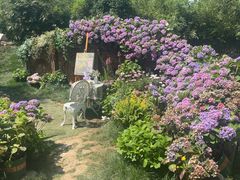 -HERRE·FARM 赫尔露营农场·团建聚会包场