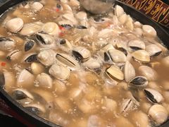 -拾下卜卜贝•海鲜火锅