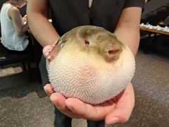 -永安鱼庄·镇江菜(东吴路店)