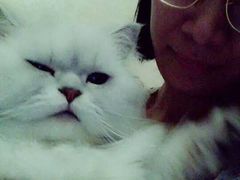 -米苏动物医院·犬猫专科·骨科外科内窥镜