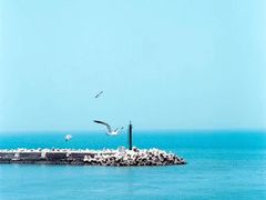 -深圳湾公园(南山区)