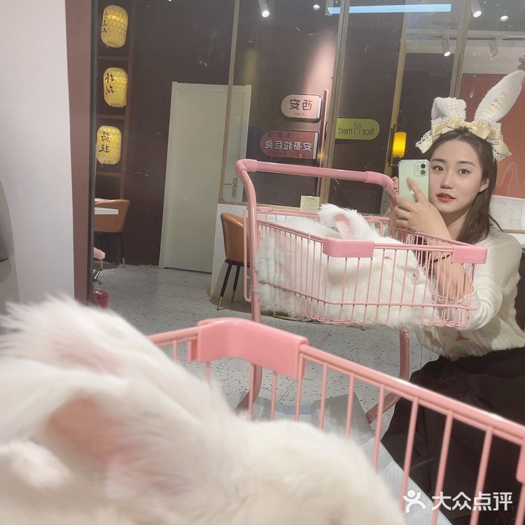 🐰：你们拍吧，不用管我