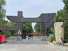 -溱湖国家湿地公园