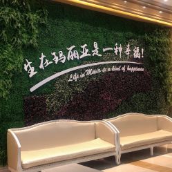 -玛丽亚妇产医院