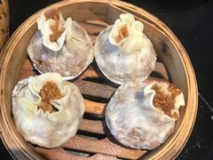 -壹盏灯(惠农店)