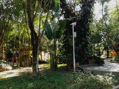 景点-瑞丽独树成林风景区