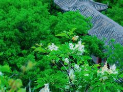 -赞皇棋盘山-停车场