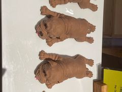 -顺德联塑万怡酒店·万荟轩自助餐厅