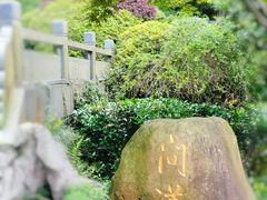 -十八棵（老龙井）御茶园(老龙井店)