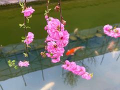 -三里河公园