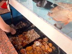 -原龙海鲜大排档(美食地标店)