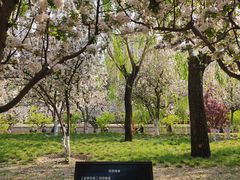 -元大都城垣遗址公园