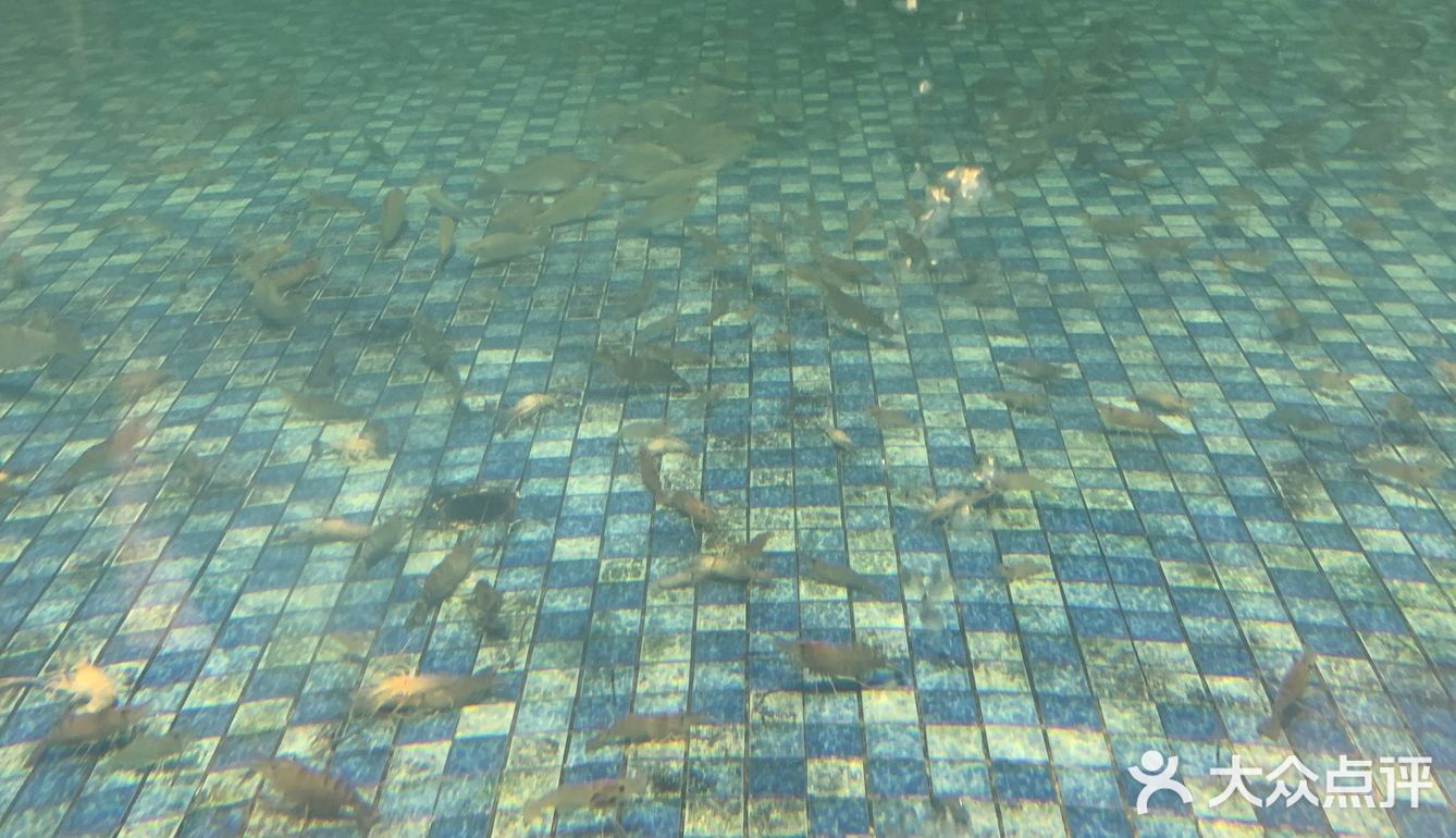 东莞探店｜钓虾工场🦐78元任钓任吃🎣来嘻虾吧