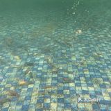 东莞探店｜钓虾工场🦐78元任钓任吃🎣来嘻虾吧