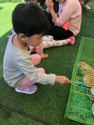 -萌宠亲子动物乐园(槐房万达店)