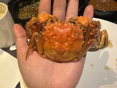 -城市节奏餐厅(海外滩·名品汇店)