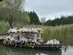 -溱湖国家湿地公园