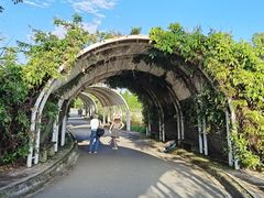 -紫颐香薰山谷景区