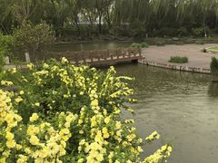 -石家庄市植物园