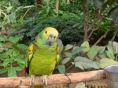 -南宫五洲植物乐园