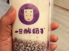 -一只酸奶牛(奎星楼店)