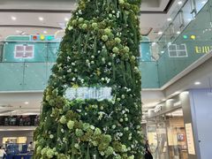-万达广场(沈阳铁西店)
