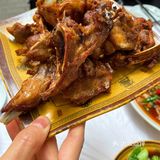 兔年大吉｜跑璧山就为了吃兔兔🐰