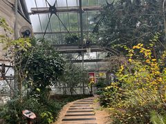 -南山植物园