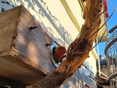 -伊隆斋(什刹海店)