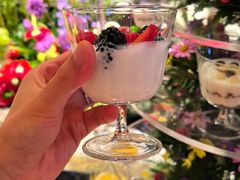 -北京望京凯悦酒店The Lounge大堂酒廊
