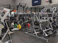 -健身专家Wellness Experts