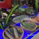 花溪福朋喜来登酒店