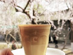 -春风习习
